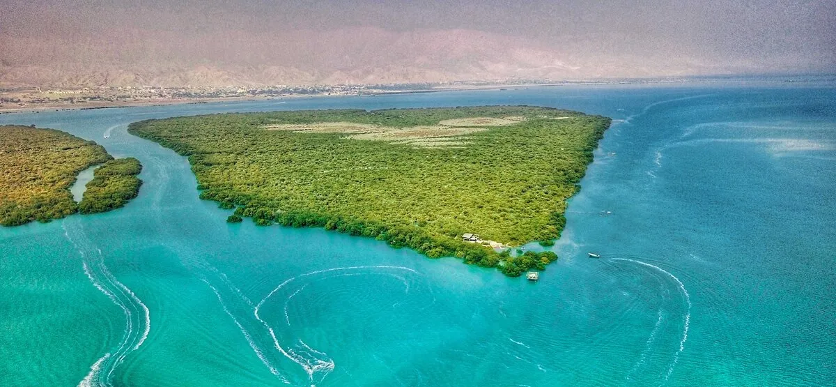 درباره ما